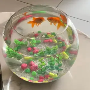 Aquarium Fishbowl Kit With 2 Fishes