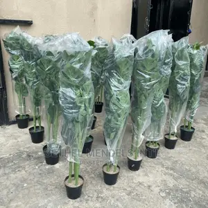 Artificial Flowers/Plants | Faux Monstera Plants Sales