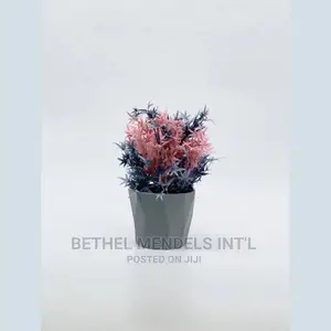 Bulk Sales of Tabletop Flowers Vases in Gwarinpa Abuja