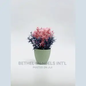 Wholesale of Beautiful Tabletop Flower Pots in Asaba Delta
