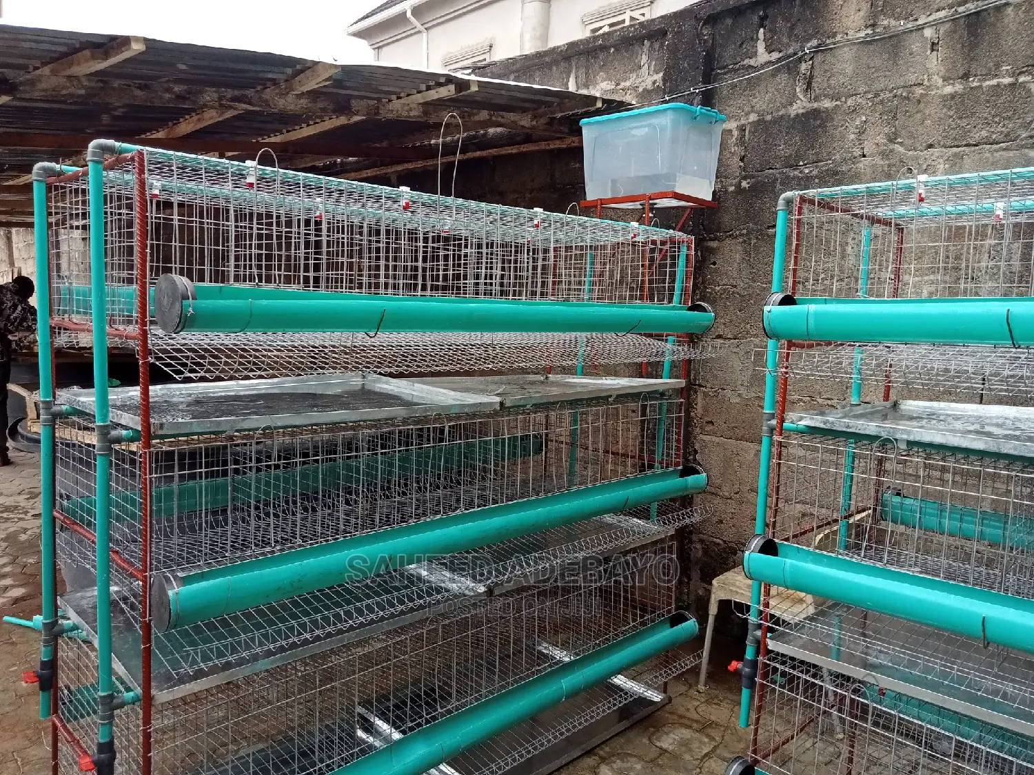 Layers Broilers Battery Cage