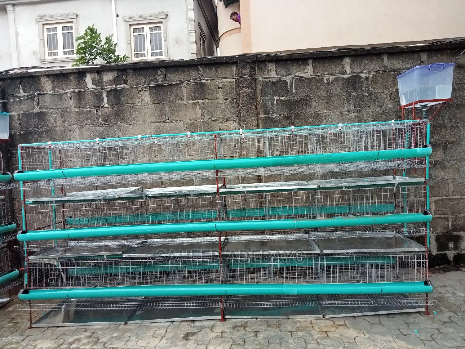 Layers Broilers Battery Cage