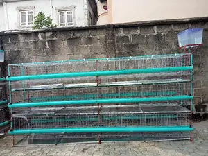 Layers Broilers Battery Cage