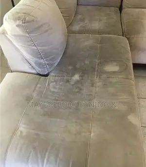 Sofa Cleaning