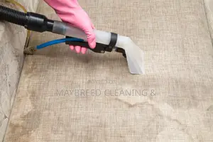 Couch and Deep House Cleaning