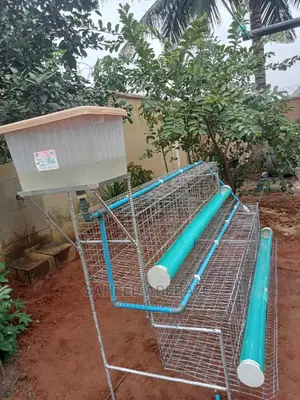 Battery Cage