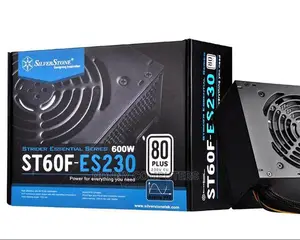 Silverstone 600W Power