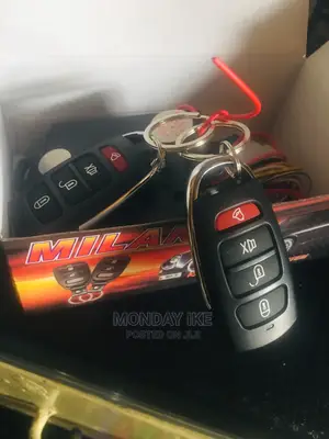 Original Remote Control System Open and Lock Is Available