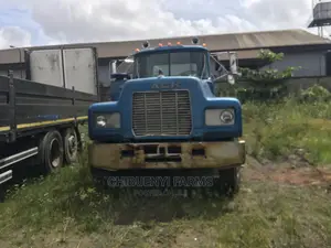 Mack Truck Calf and Chassis 10 Tyres