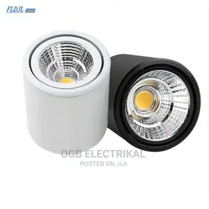 Surface Mounted Light