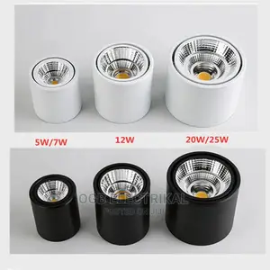 Surface Mounted Light