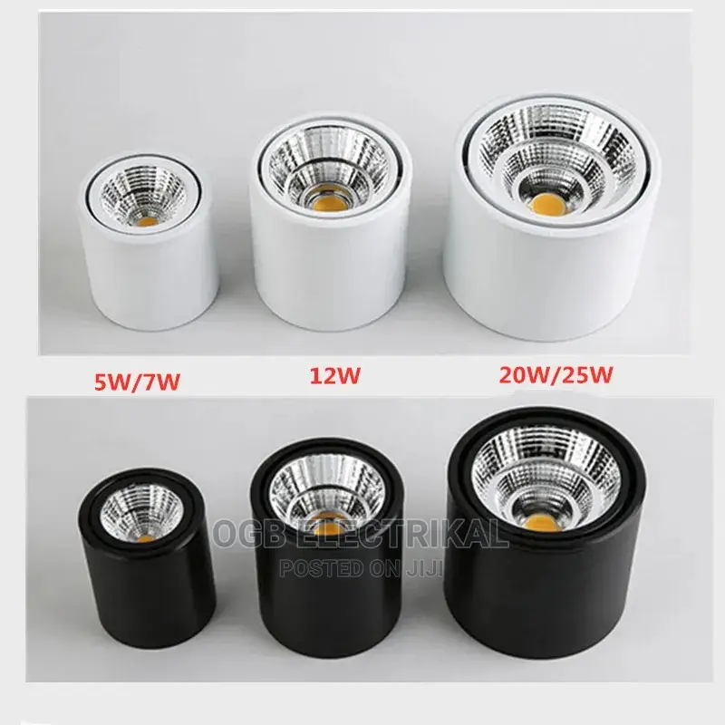 Surface Mounted Light