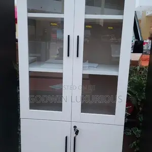 Filling Metal Cabinet