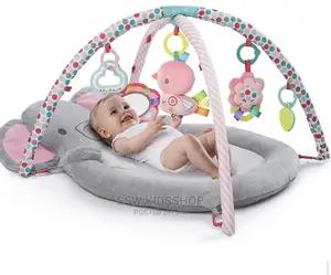 Bright Starts Hugs and Cuddle Baby Activity Play Gym