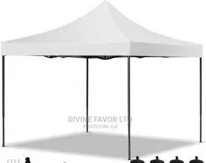 Imported Foldable Canopy/Gazebo 10 by 10 Feet