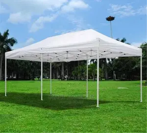 Heavy Duty Imported Foldable Canopy/ Gazebo 20 by 10 Feet