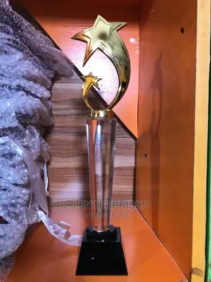 Trophy Award Plaque C89
