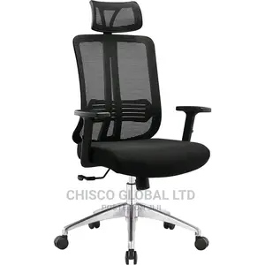 Office Chair (Ergonomic)