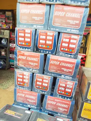 ORIGINAL Car Battery Ch