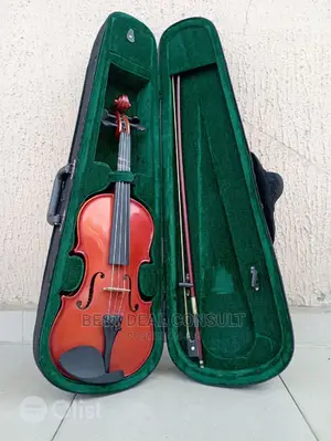 Professional Violin