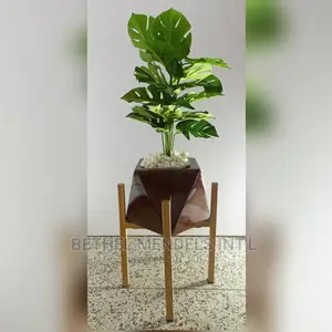 Aesthetic Fiberglass Flower Pot Combos for Sales in Delta