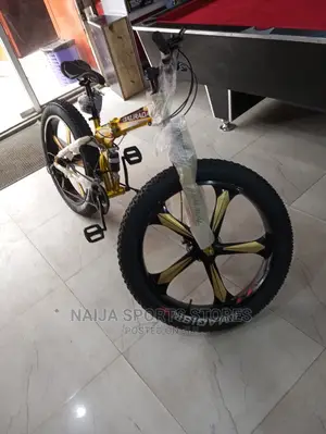 Top-Tier Prolife Bike