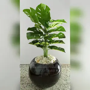 Fiberglass Flower Pot/Vase/Planter | Combo Sales