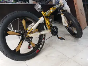 Splendid Prolife Bike