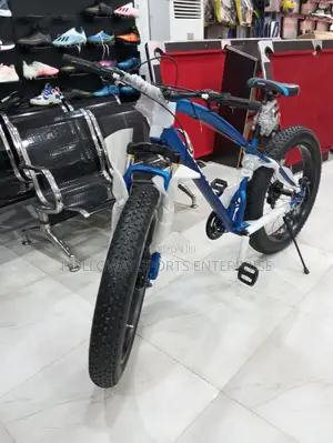 Rapid Prolife Bike