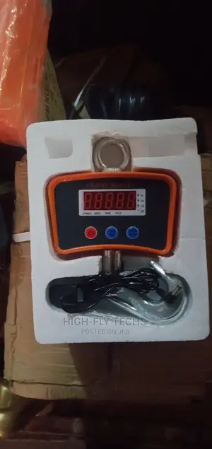 Heavy-Duty Digital Crane Scale (Model OCS-S1 | 500kg)