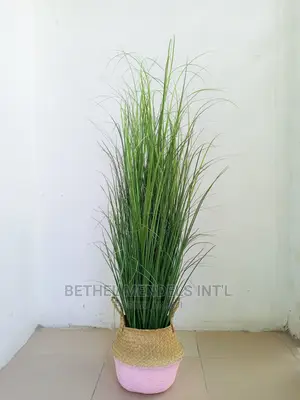 Wholesales of Artificial Reed Grass Plants in Gwarinpa Abuja