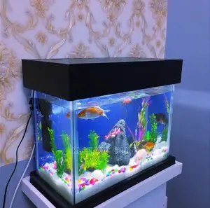 2ft Aquarium