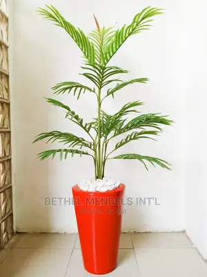 Wholesale of Fiberglass Pot/Vase/Planter and Fake Palm Plant