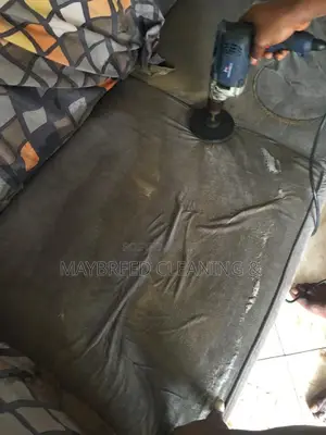 Sofa, Couch Cleaning Services