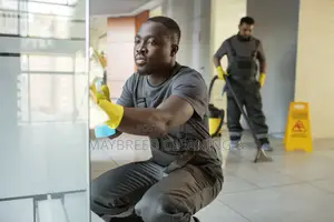 House Cleaning Services Professionals