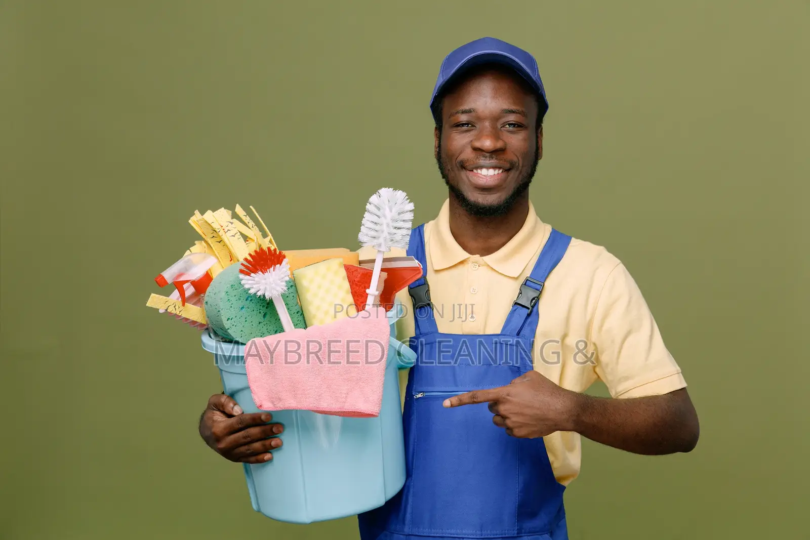 House Cleaning Services Professionals