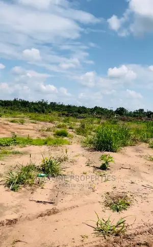 Affordable Land Half Plot.