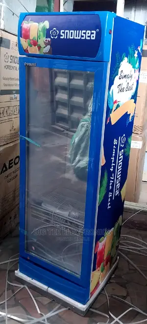 Snowsea Display Fridge 300l