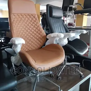Executive Ergonomic Office Chair