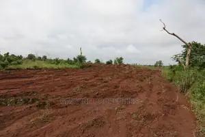 Affordable Land,Own a Half Plot of Land