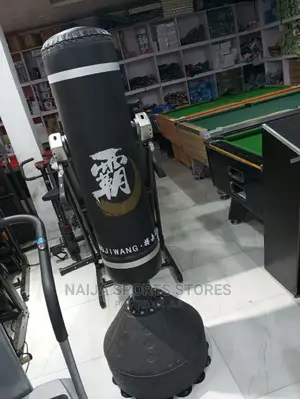 Upright Standing Punching Bag