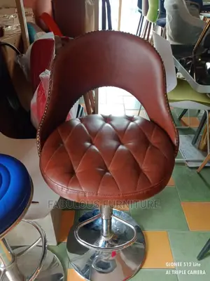 Salon Chairs