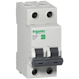 40amp 2 Pole Mini Charger (Hawel)