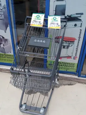 Grey Colored Trolly 120L