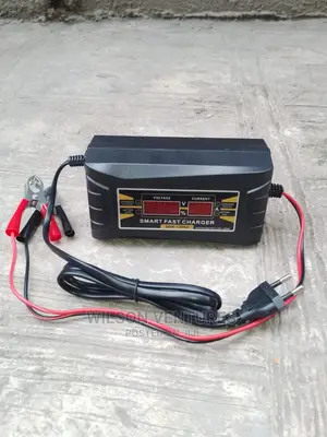 12v Smart Car Battery Charger