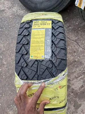 265/65r17 Austone Tyre