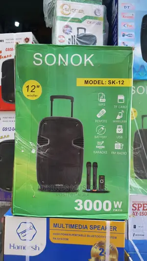 Sonok 12 Inches Rechargeable Bluetooth Pa System 3000w