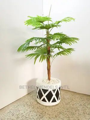 Artificial Fan Palm Plants and Fiberglass Pot/Vase for Sales