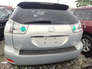 Lexus RX 330 2005 Gray