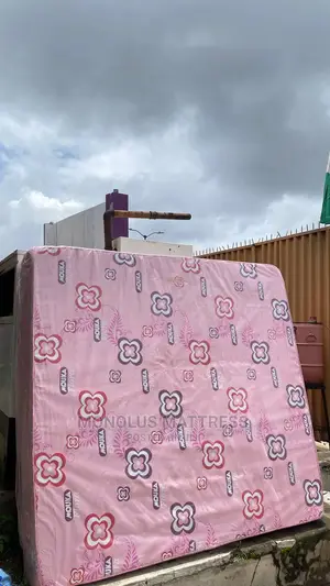 6 by 6 by 14 Inches Mouka Foam Family Size Mattress